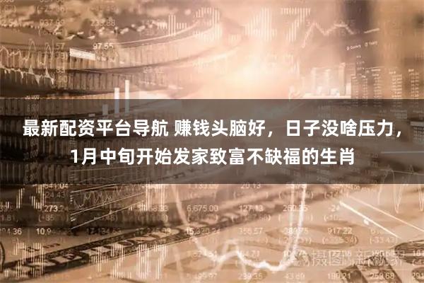 最新配资平台导航 赚钱头脑好，日子没啥压力，1月中旬开始发家致富不缺福的生肖